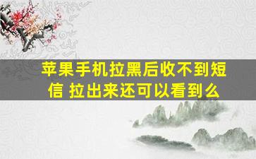 苹果手机拉黑后收不到短信 拉出来还可以看到么